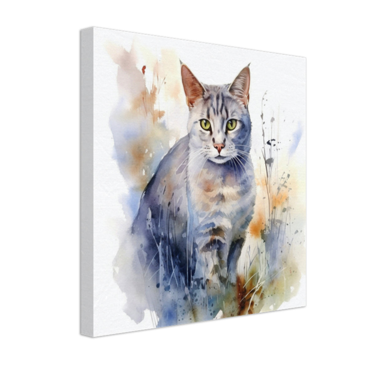 Australian mist cat canvas art