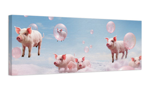 Pigs canvas print Australia long horizontal 