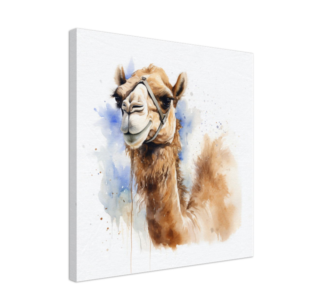 Camel art print australia 